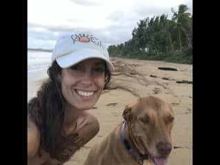 This is Honey the Adventure Dog. She lives at Casa Alternavida in Rio Grande, Puerto Rico. Honey is an amazing swimmer, climber and head of pest control around the resort. She is trustworthy off-leash unless she is chasing snakes, lizards or iguanas!