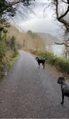 A nice quiet long walk @ Lough Hyne near Baltimore, West Cork. A great place to go when wet because the road is always dry and not busy.