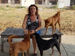 These were dogs we walked and played with in India… some of the few that were cared for there.