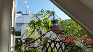 View from bedroom to terrace