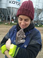 Yet another one of my cats on the farm- Tippy