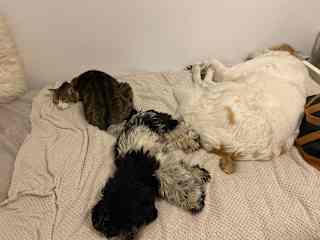 Nap time