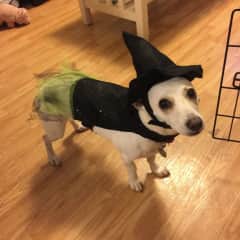 Halloween silliness!