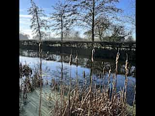Moat