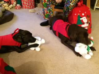 Christmas presents for the boys.
