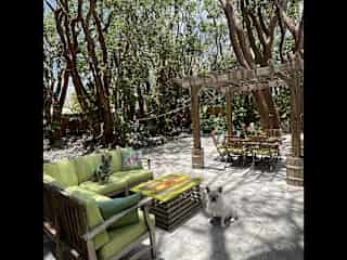 Back patio and seating area