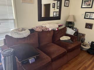 Living room with large comfy couch and cat beds