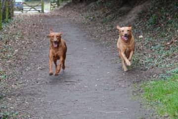 Mia on the right, running with her grand-daughter Ellie.