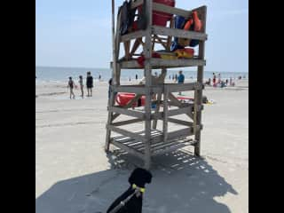 This was a great sit in Hilton Head SC.  The always ready to go, sweetest little cuddle bear, Miss Daisy.  We loved the shade from the lifeguard station ❤️