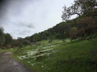 Hiking Trail at Skyline Park in Napa