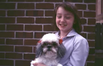 My first Shih Tzu Quincy, with whom I use to visit patients at a nearby hospice on a weekly basis.