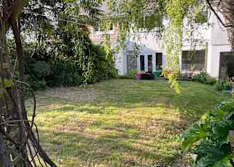 Back garden
