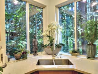 Even doing dishes are a delight with a forest view.