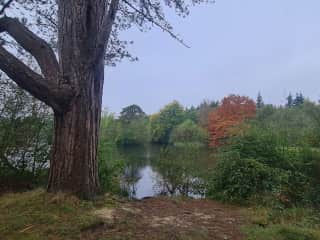 Part of the private parkland you can reach via a 30 second walk from either the front door or back gate