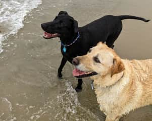 We love the beach!