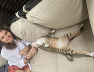 Bali time and Bali cat in our room