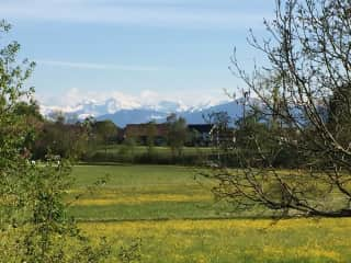 The fields opposite our house