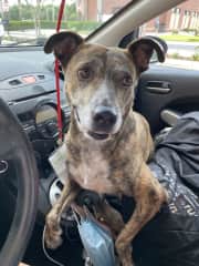And she loves car rides