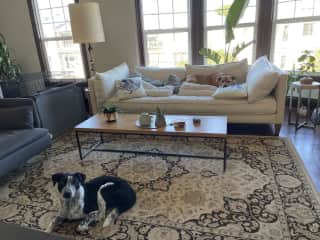 Living room
