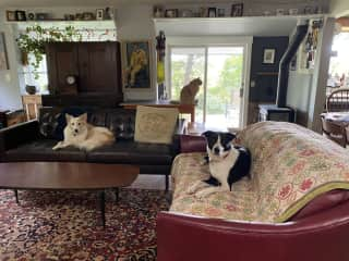 The crew in the living room. Sunroom with the wood stove can be seen, as well as the patio