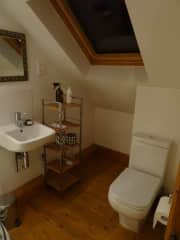 Ensuite washbasin and toilet