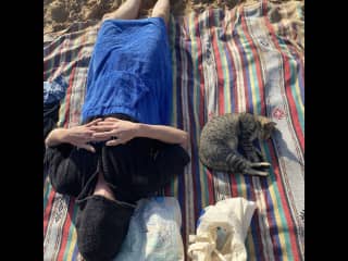 A stray cat joined Arno’s powernap