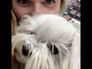 Buddy