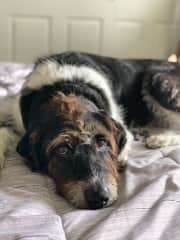 The sweetest boy.