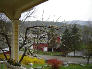 Looking off the front porch in the Spring.