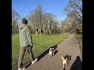 Lots of walks!