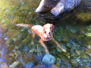 Ezra loves to swim