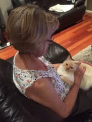 me with pets