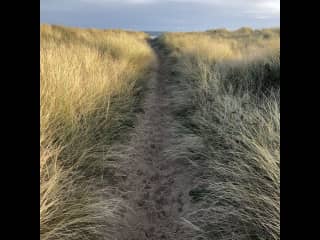 Many lovely walks through the dunes and in the beaches