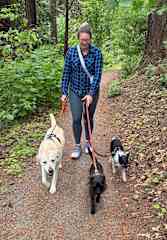 Three forest walk-loving senior doggos. (THS sit, Portland, Oregon)