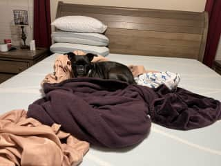 I “help” to make the bed and manage my pack.  I’m sensitive and need some extra love sometimes.