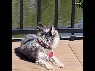 Deck time!!