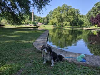 Kota at the nearby park