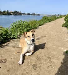 Fiesta Island