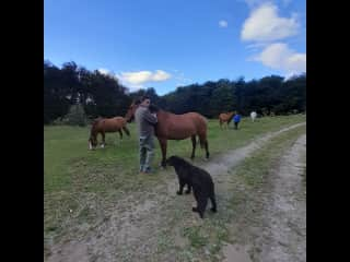 Tomi in his father's field.