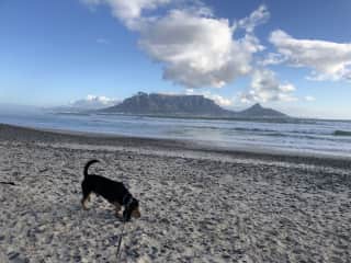 The daily walk on the beach.