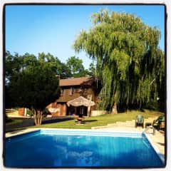 Pool in the garden