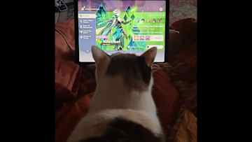 Mochi sharing my hobbies