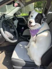 Someone thinks he's old enough to drive