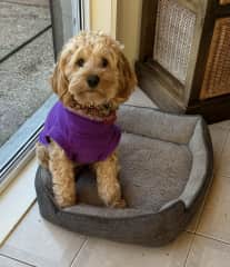 Winter coat to keep me warm