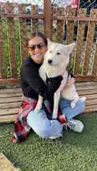 Jenna with a lovely husky friend in Akureyri, Iceland.