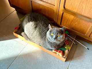My toy box, mine!
