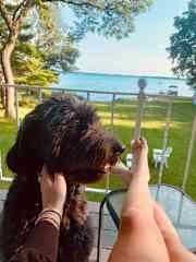 Hanging out with doggie friend Drogo