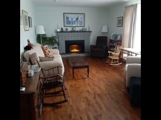 Living room with electric fireplace.