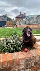 Beautiful boy, Arthur, who we cared for in Northampton, England.