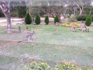 Rural Australia